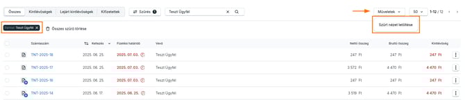 kimeno-szamla-penzforgalom-excel-2