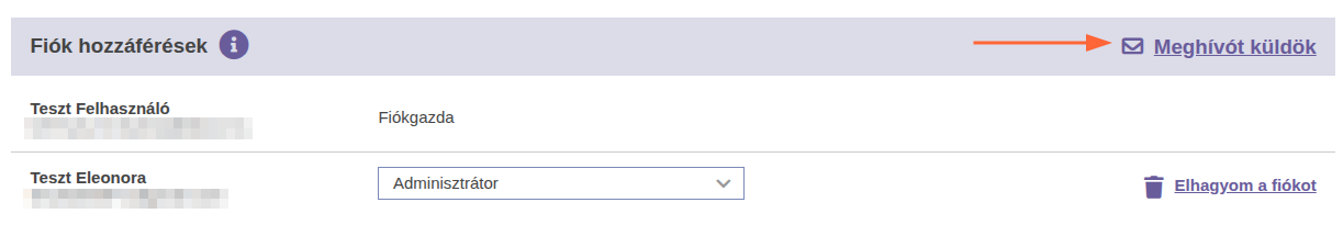 Fiók hozzáférések_