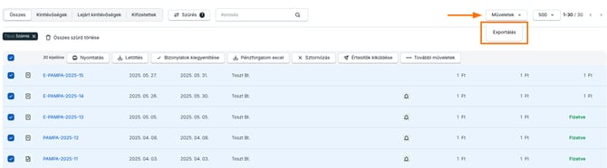 kimeno-szamla-penzforgalom-excel-002